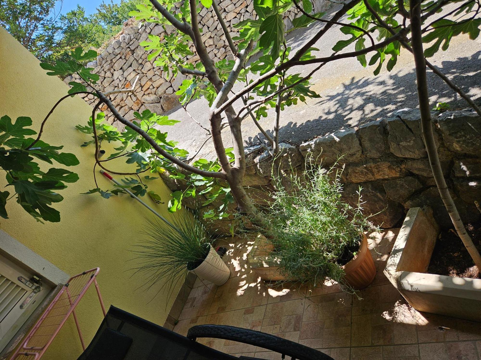 Apartmani Sanja Klenovica Dış mekan fotoğraf
