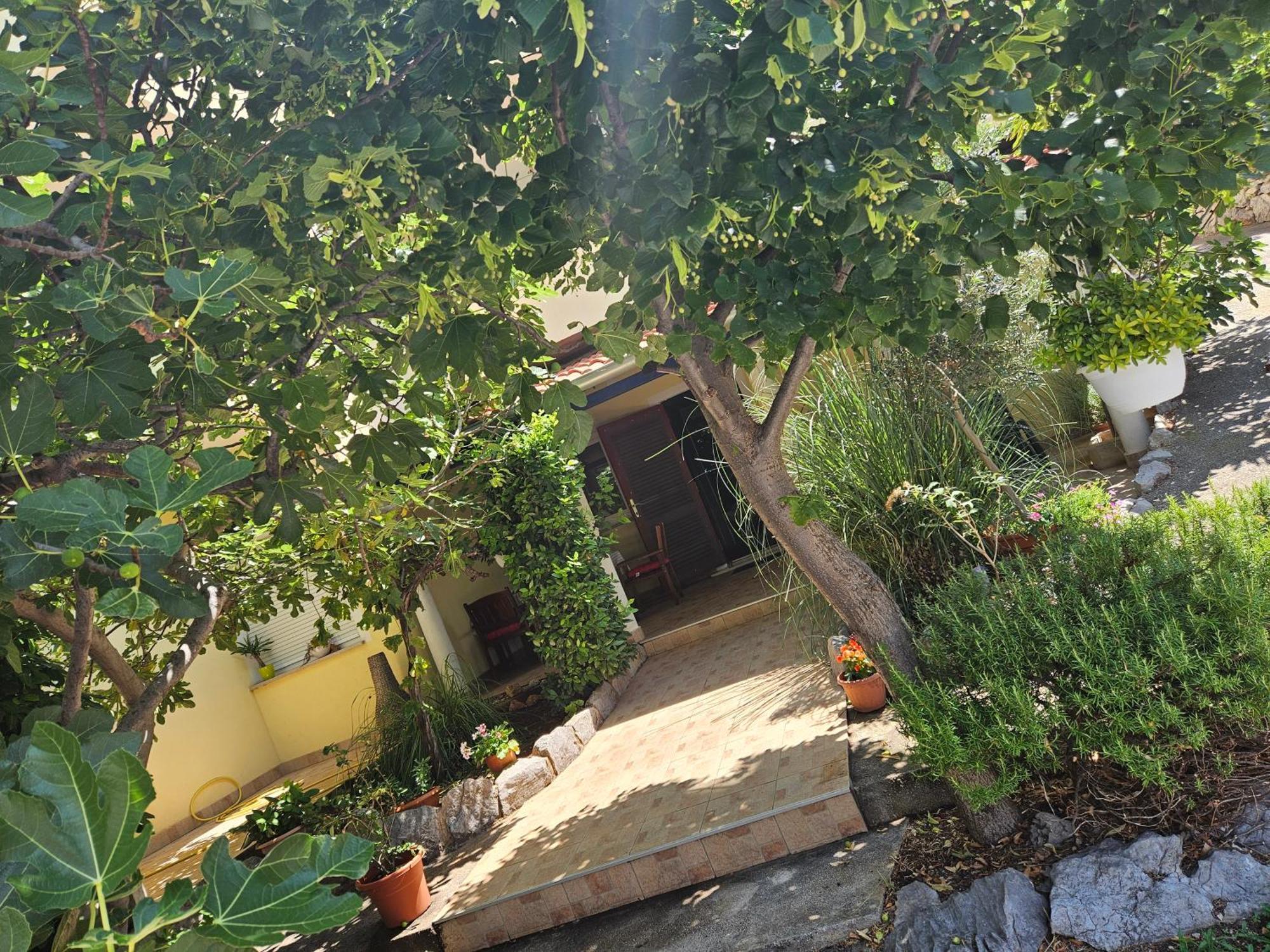 Apartmani Sanja Klenovica Dış mekan fotoğraf