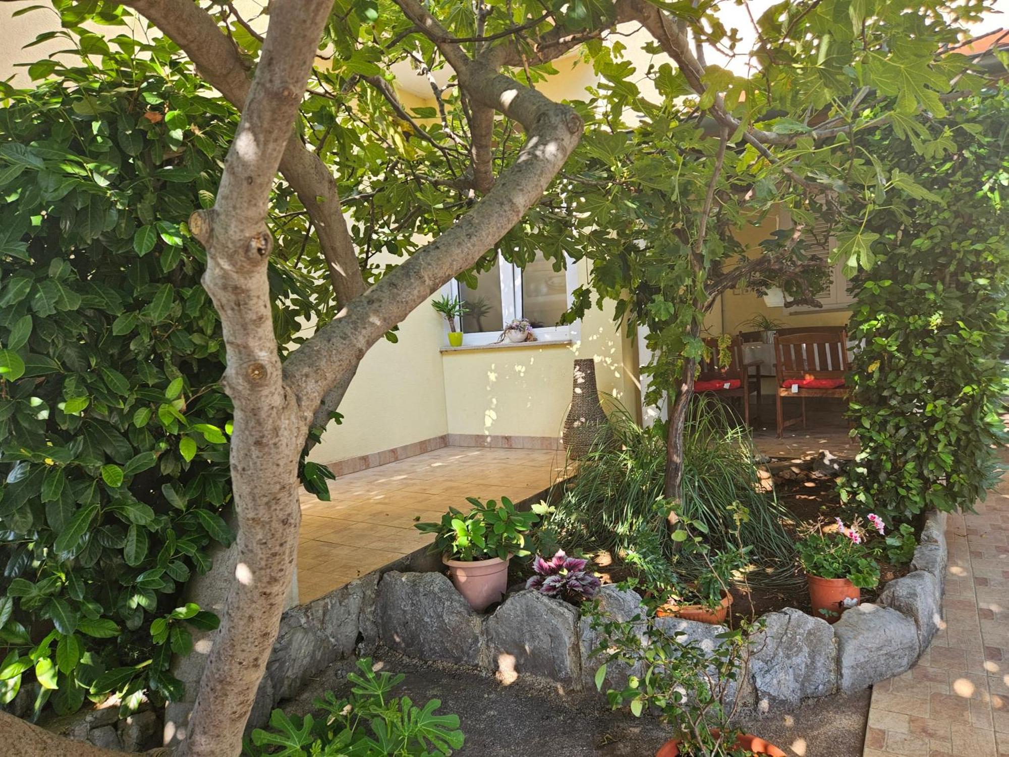 Apartmani Sanja Klenovica Dış mekan fotoğraf
